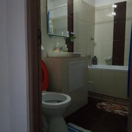 2 Тімішоара